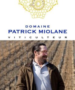 2019 Domaine Patrick Miolane St. Aubin