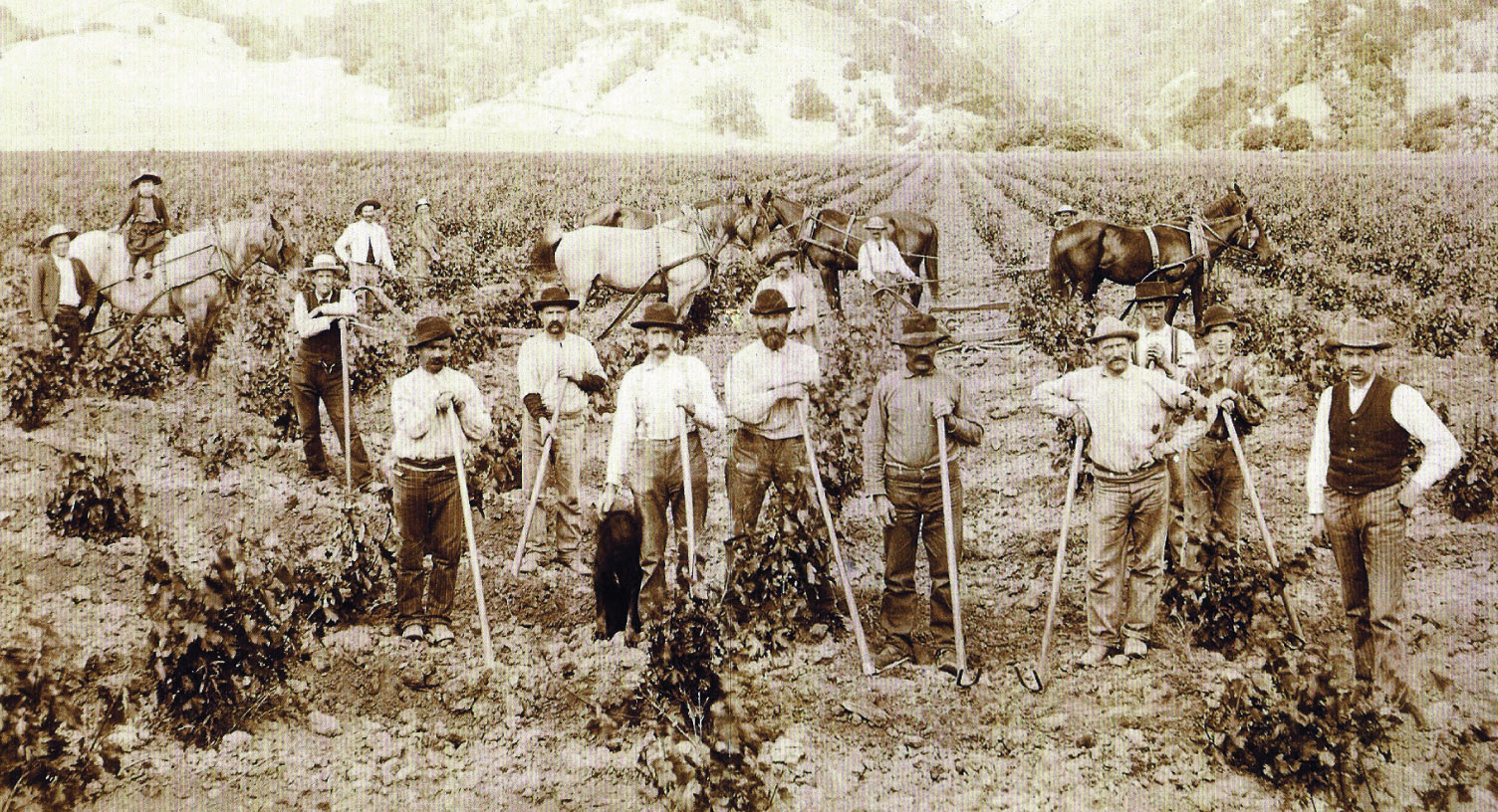 History-Photo