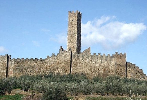 Petrolo Galatrona -WINEPARITY