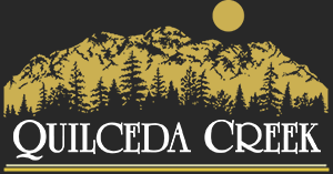 2017 QUILCEDA CREEK “CVR” RED BLEND 