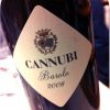 2008 Marchesi di Barolo Barolo Cannubi 1.50L-hillsidevineyards.com