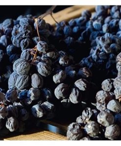 Antiche Terre Amarone