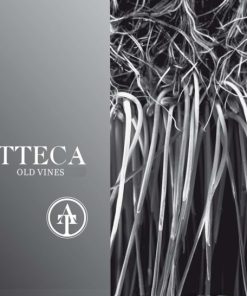 2018 Bodegas Ateca Calatayud Atteca Old Vines