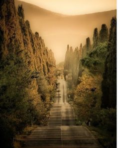 2018 Campo Al Mare Bolgheri