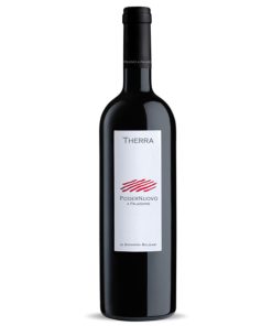 2015 PODERNUOVO A PALAZZONE THERRA SUPER TUSCAN
