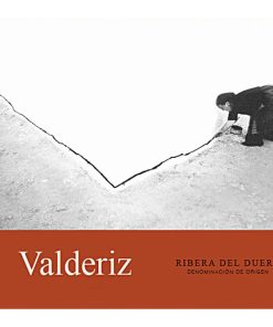 Bodegas Valderiz Ribera del Duero