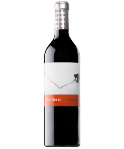 2019 Bodegas Valderiz Ribera del Duero