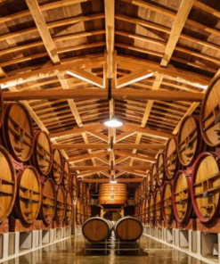 2020 Chateau Beaucastel ‘Coudoulet de Beaucastel’