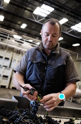 DuMol Masters Napa Cab