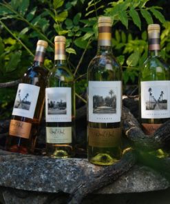 Round Pond Estate Cabernet