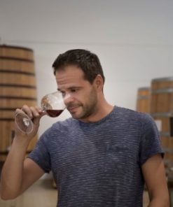 Bodegas Ponce P.F. 2020