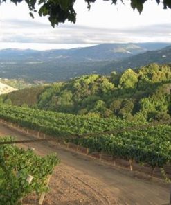 2017 Mount Eden Estate Chardonnay