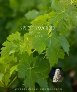 Spottswoode