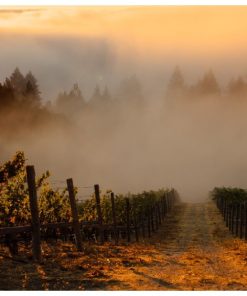 Rudd Samantha’s Cabernet
