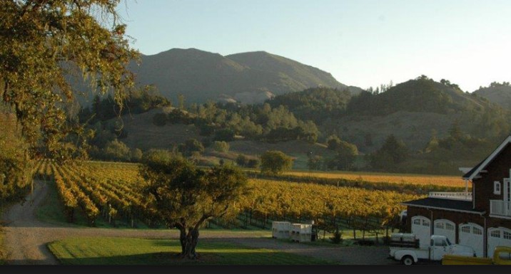 2009 Grable Vineyards “Patience” Cabernet Sauvignon