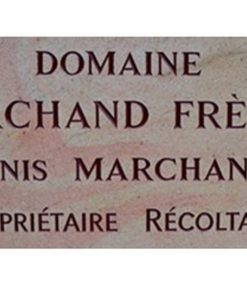 Julien Marchand Gevrey Chambertin 1er Cru Fonteny