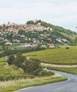 Les Carriere de Mezy Sancerre Cuvee de la Reserve